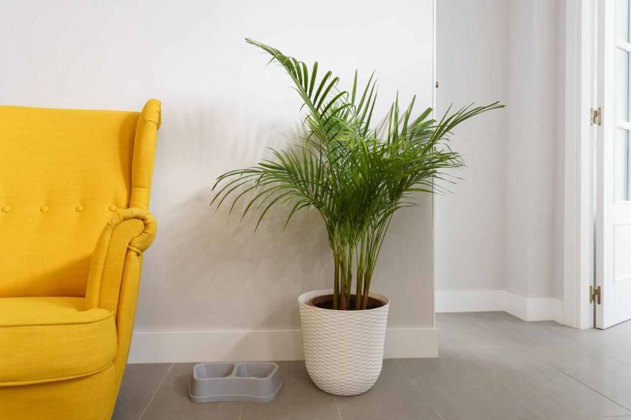 Apartamentos Circulo De Artistas ロンダ エクステリア 写真